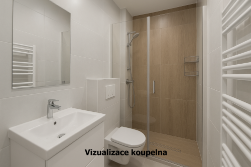 Prodej byt 2+1 Přerov Palackého - vizualizace koupelna